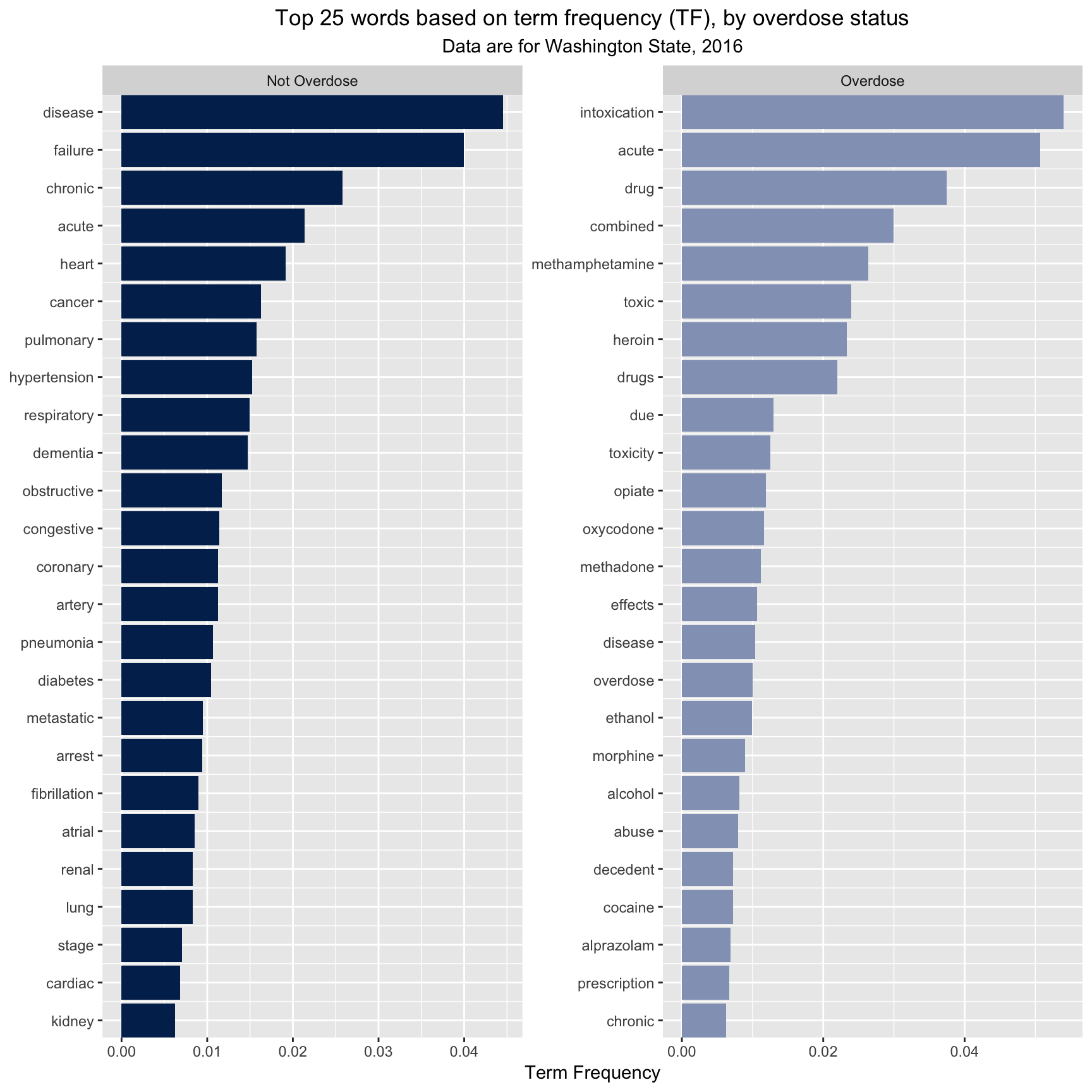 Top Words by overdose status