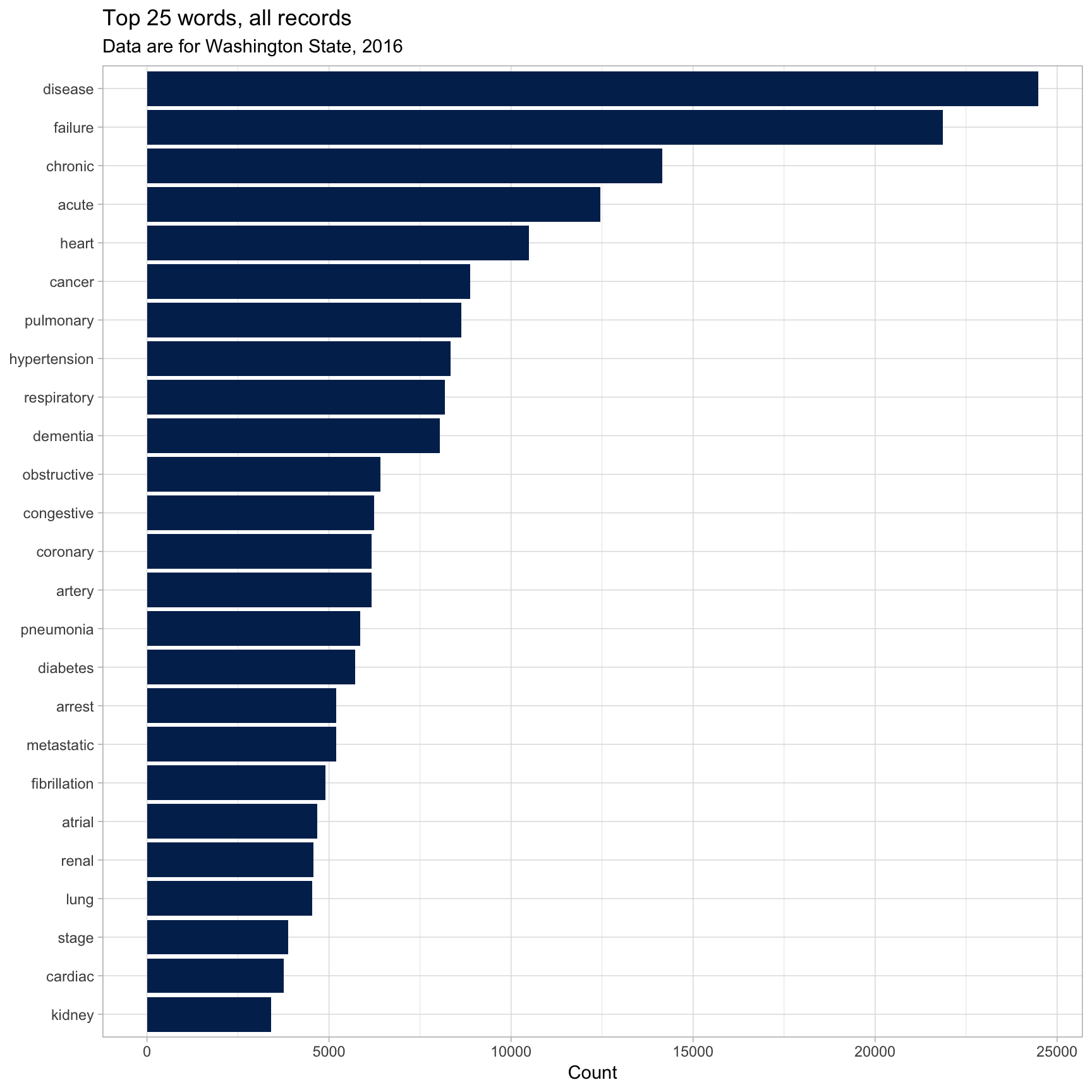 Top Words